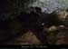 20140227_viresscornichecourtinen_baumea5