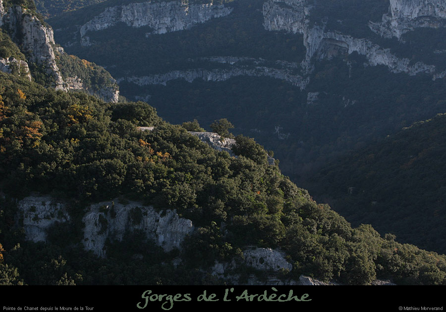 20081116_chanet