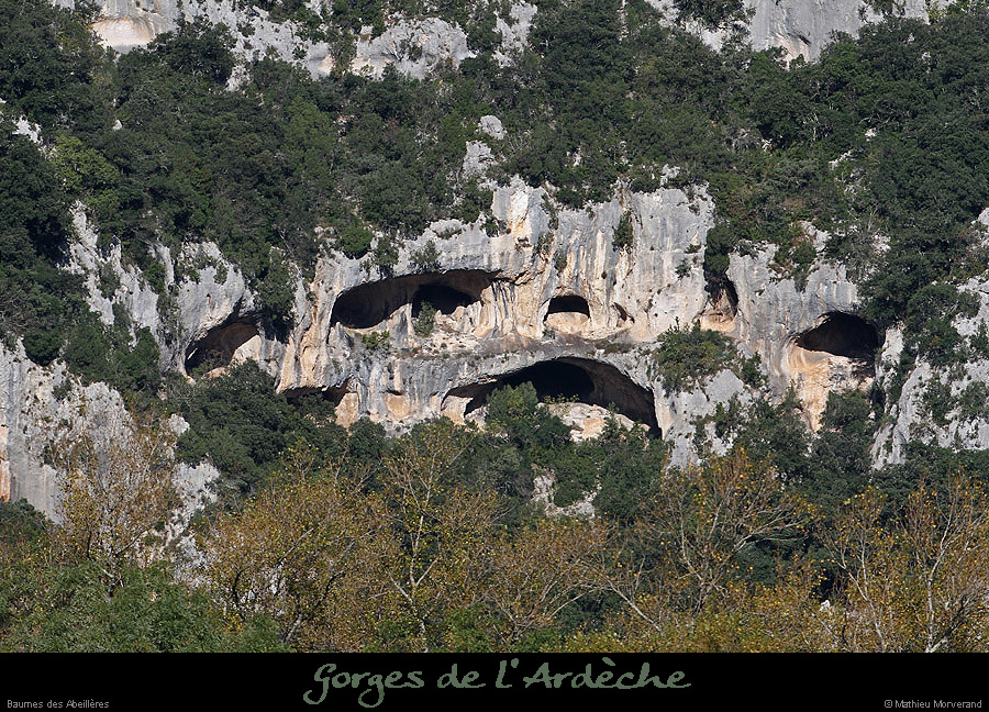20131109_baumesdesabeilleresdepuisaiguillegournier