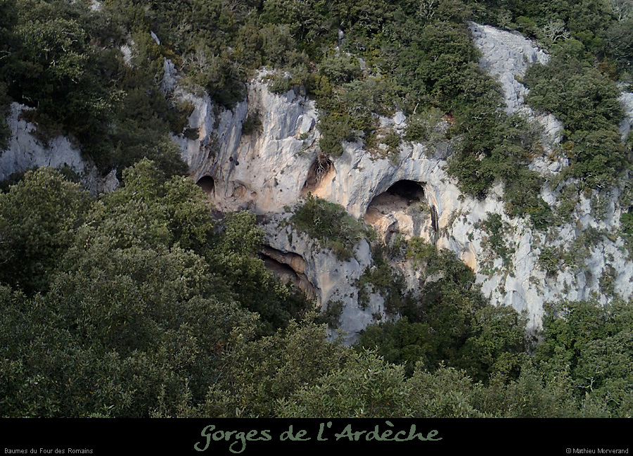 20140301_baumesfourromaindecornicheabeilleres1