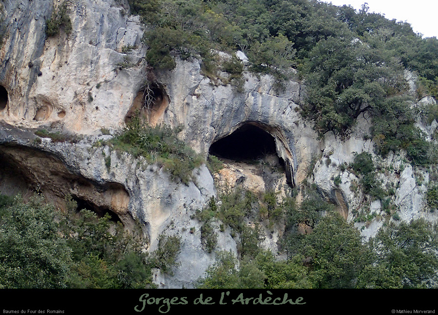 20140301_baumesfourromaindecornicheabeilleres3