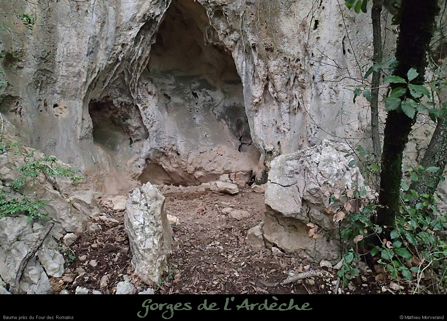 20140301_baumespresfourromaindecornicheabeilleres2