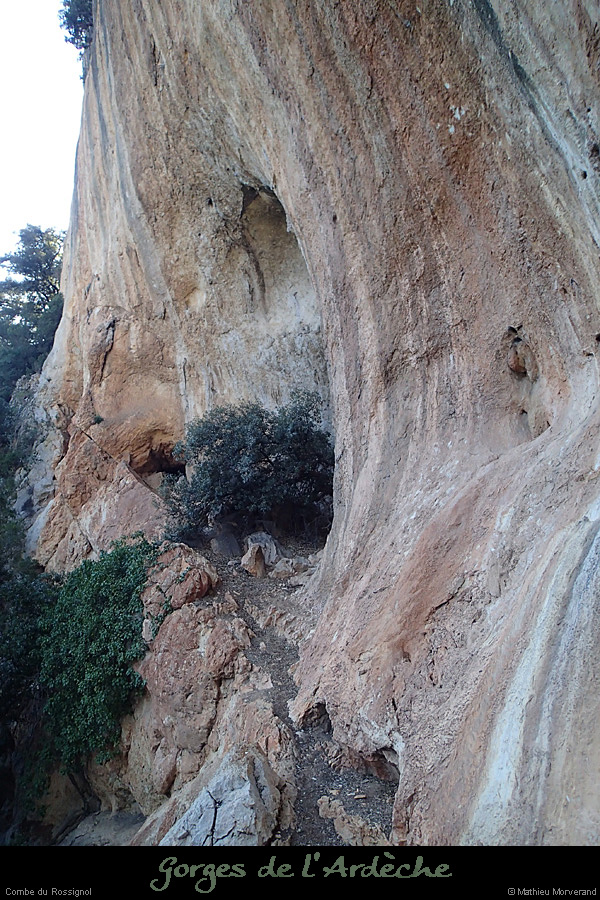 20140222_comberomains_baume2.