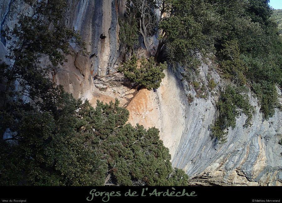 20140222_comberomains_vire06.
