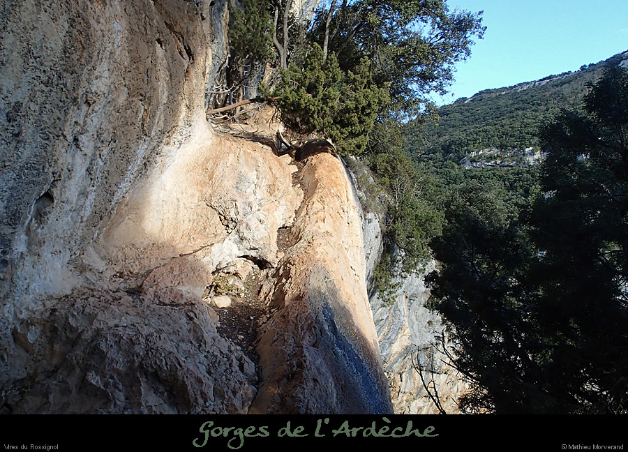 20140222_comberomains_vire07.