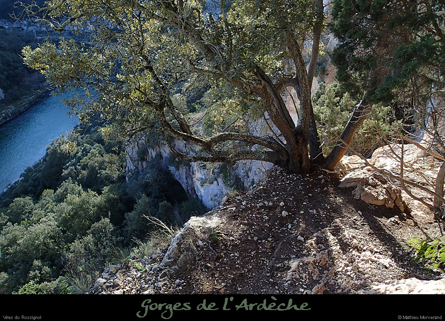 20140222_comberomains_vire11.