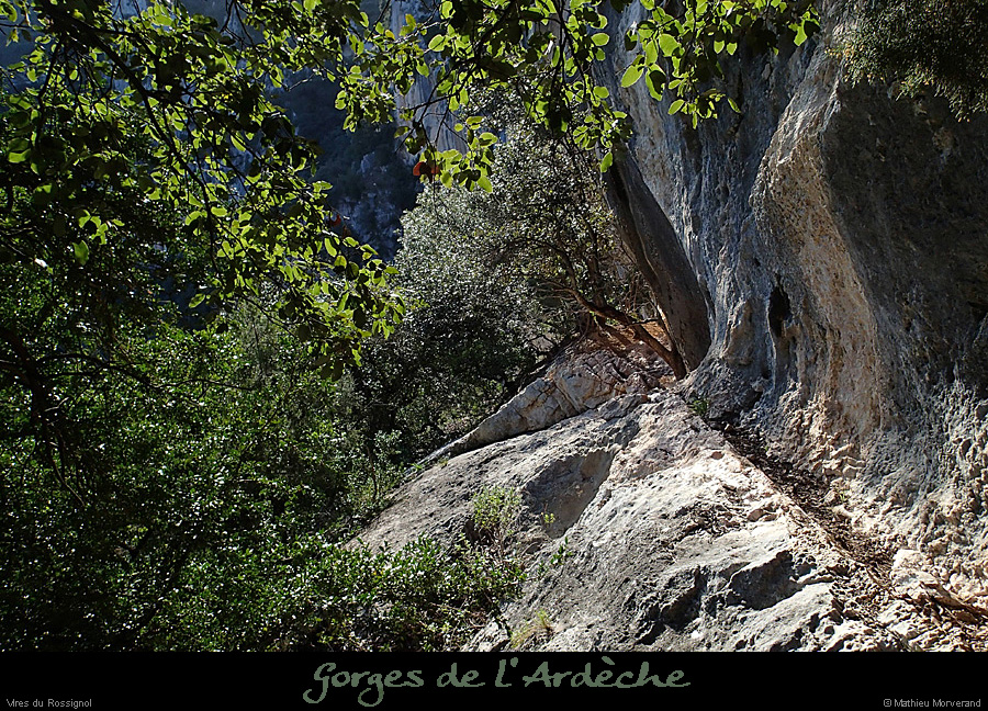 20140222_comberomains_vire12.