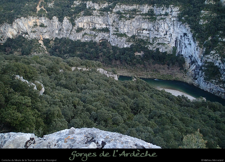 20140222_rossignol_amdepuiscornichemouredelatour.