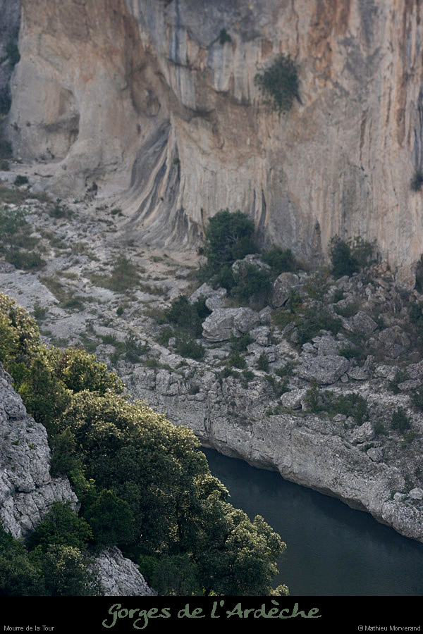 20080927_mouredelatour