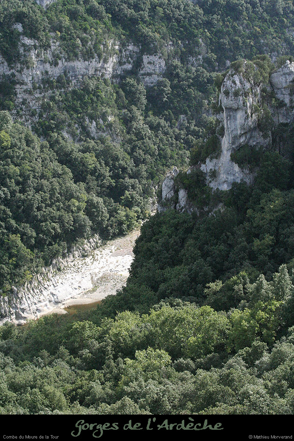 20081005_combemourredelatour1