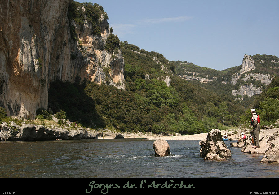 20110421_rapidedurossignol