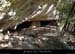 20150406_baumessrefractaires1