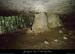 20151226_virerefractgrdebaume1