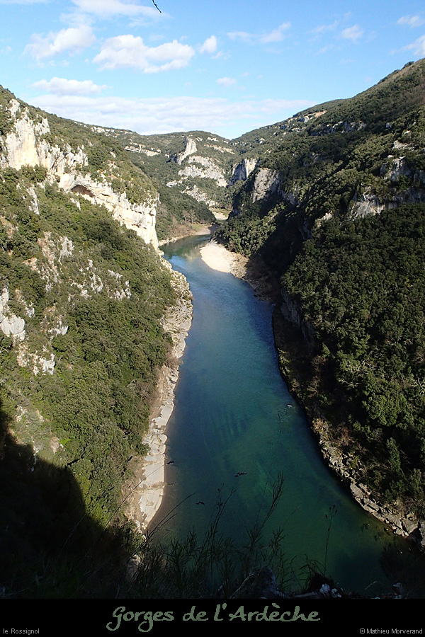 20140222_gorgesamdepuisptessfalaisesabeilleres01