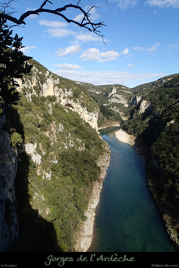 20140222_gorgesamdepuisptessfalaisesabeilleres02