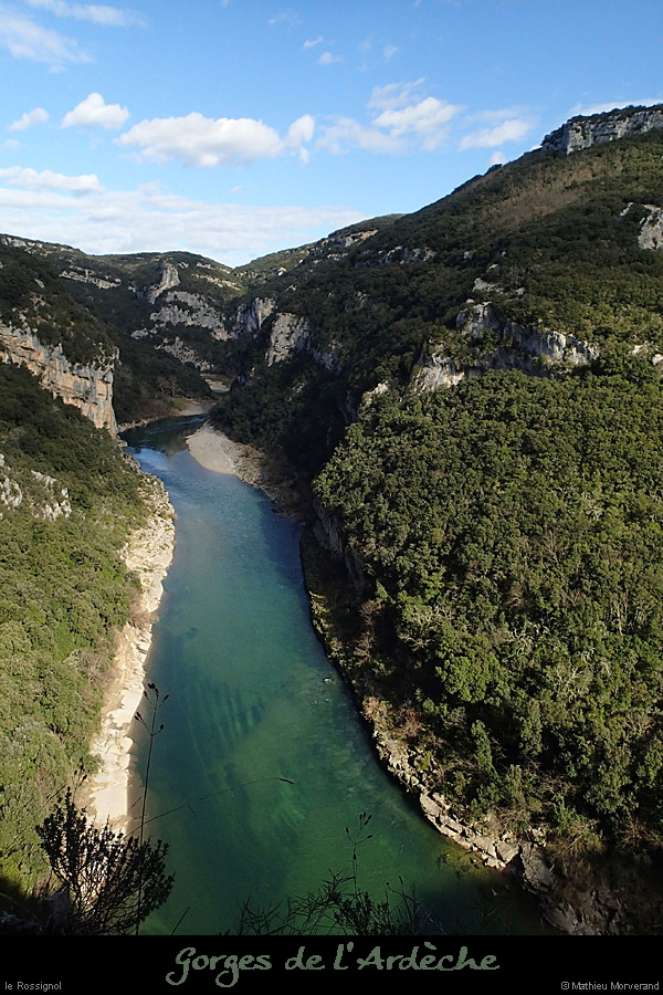 20140222_gorgesamdepuisptessfalaisesabeilleres05