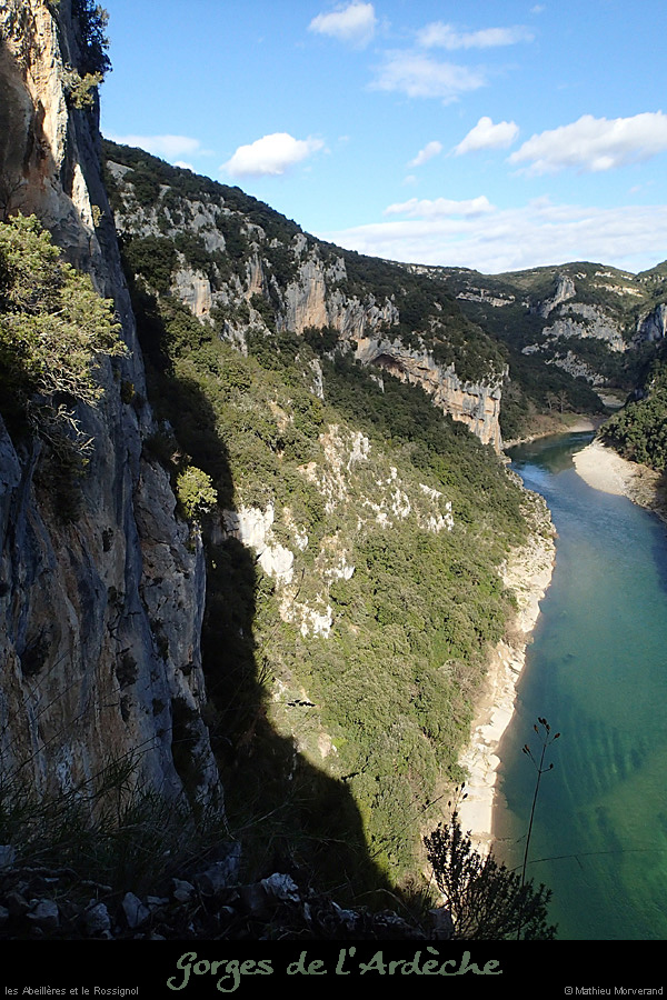 20140222_gorgesamdepuisptessfalaisesabeilleres06