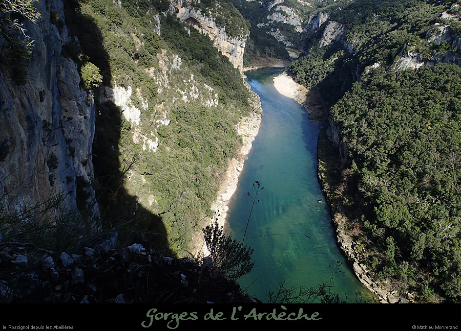 20140222_gorgesamdepuisptessfalaisesabeilleres09
