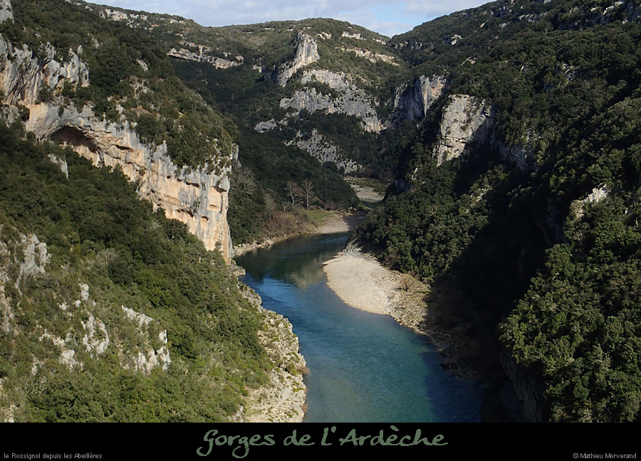 20140222_gorgesamdepuisptessfalaisesabeilleres14