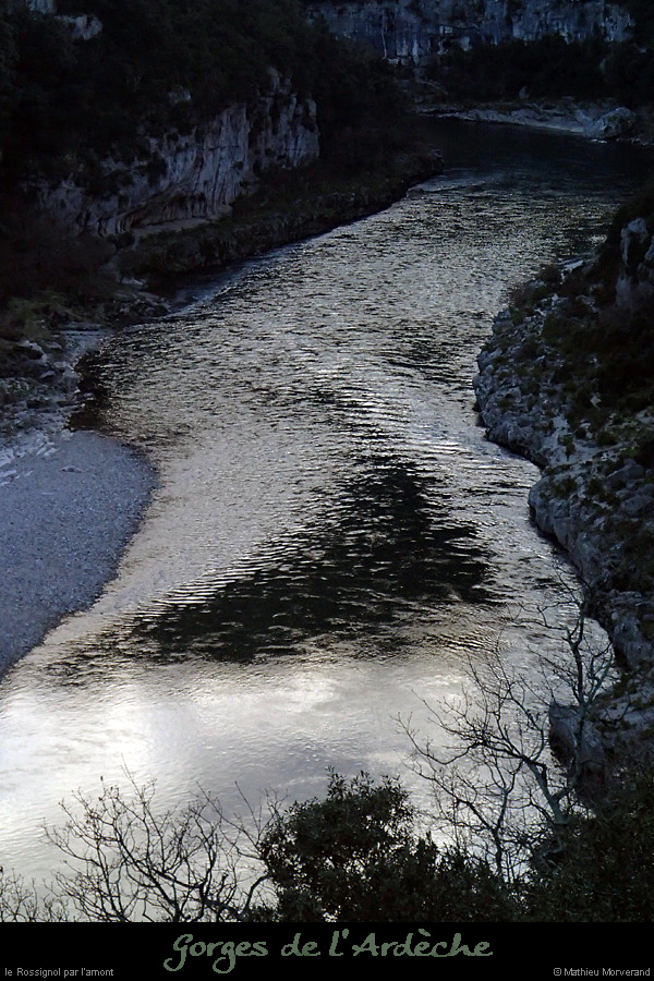20140222_rossignol_amdepuisvire3.