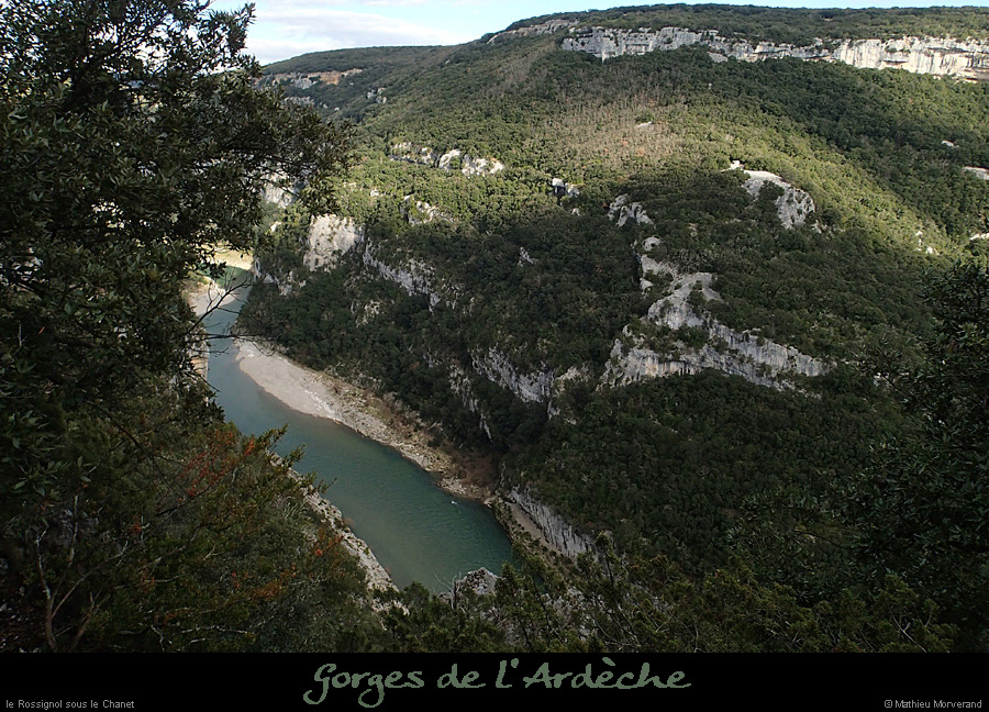 20140301_rossignoldecornicheabeilleres2