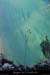 20140222_gorgesamdepuisptessfalaisesabeilleres12