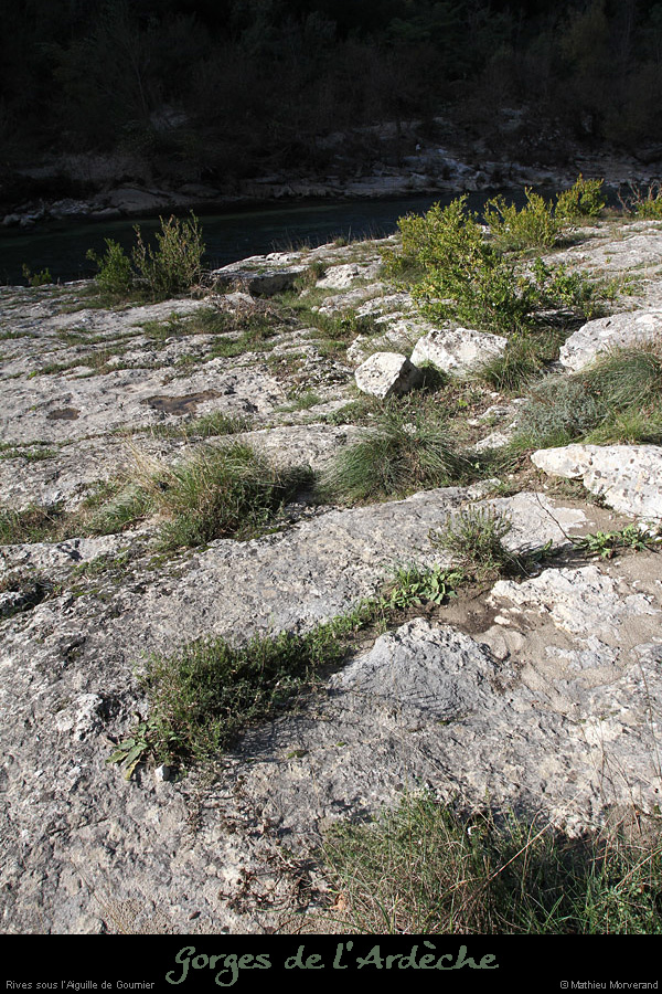20131109_trottoirssaiguillegournier1