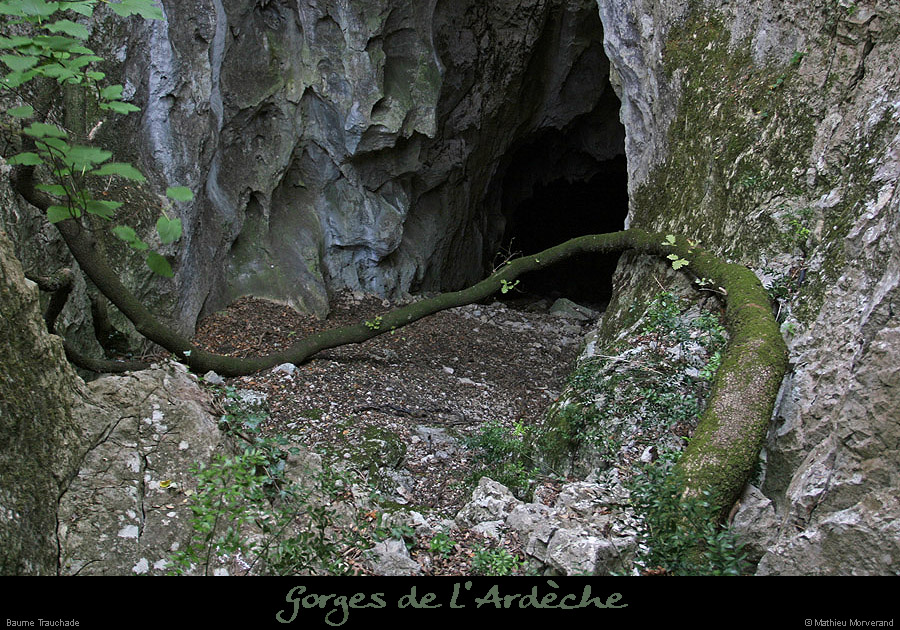 20070715_baumetrauchade2