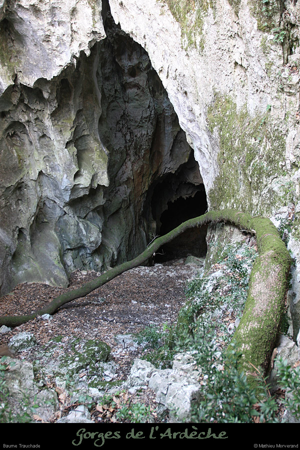 20080224_baumetrauchade2