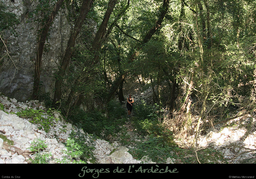 20070722_combe_cros_sentier2