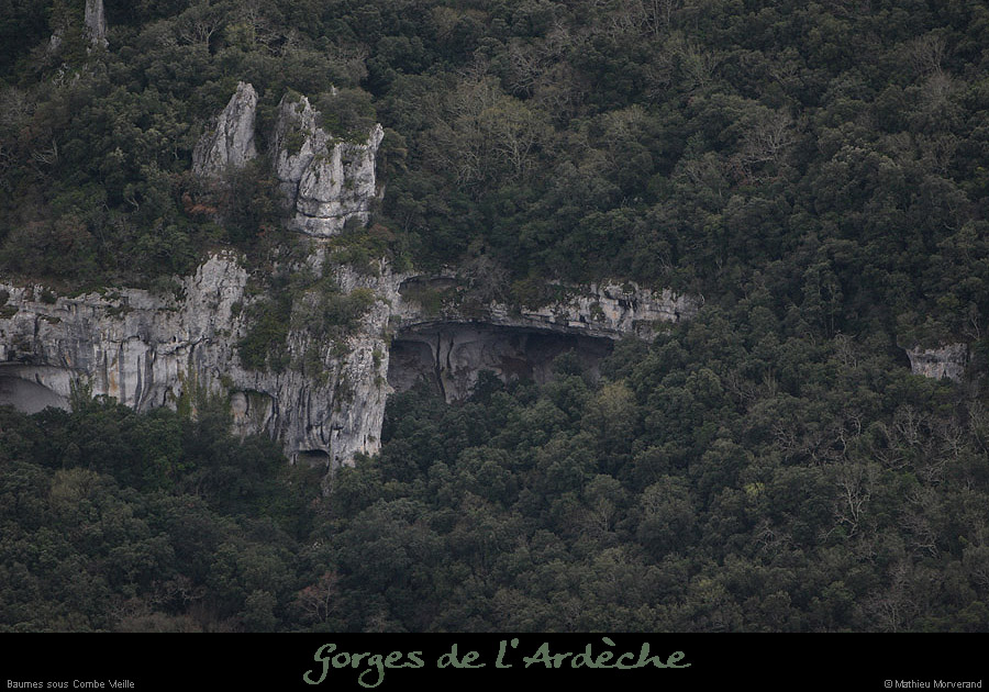 20100327_baumesousflassade