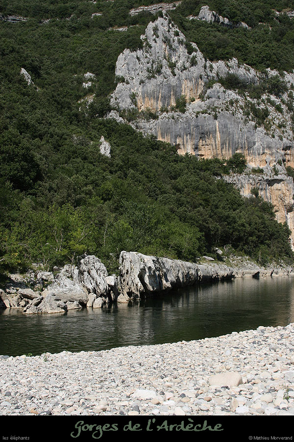 20070722_elefants2