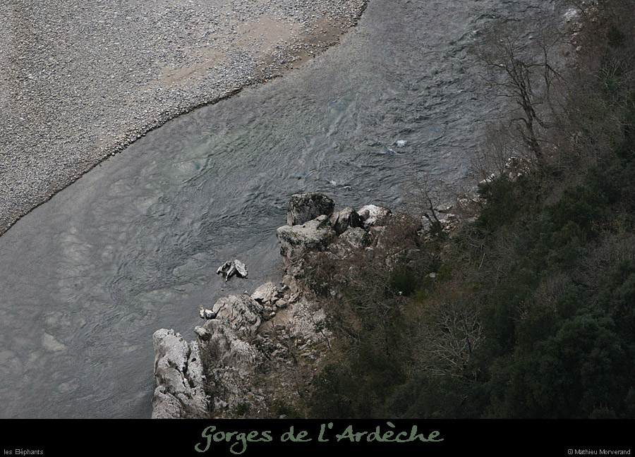 20111229_gournier_aval_elephant