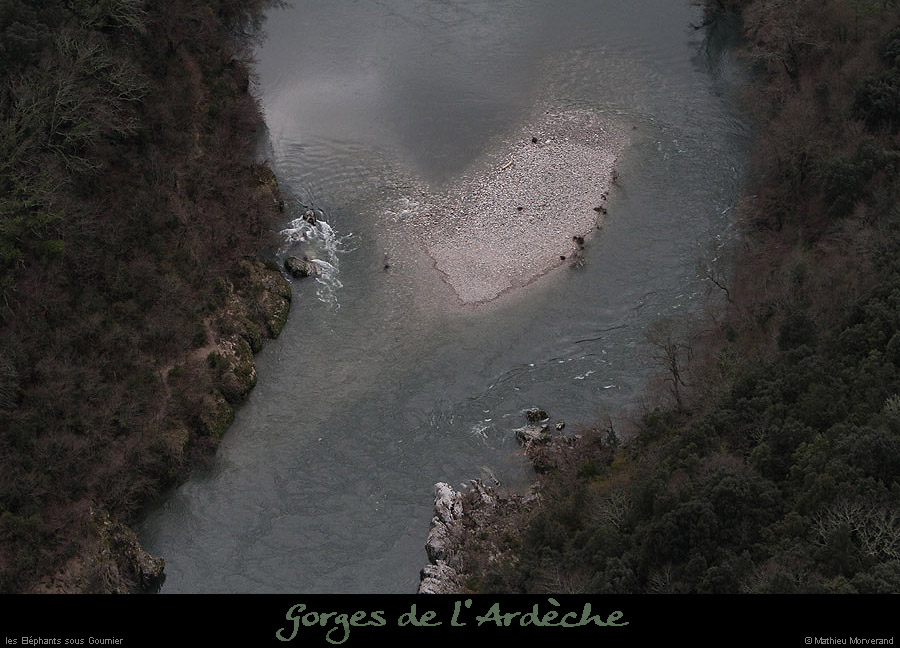 20130330_rapideelephants