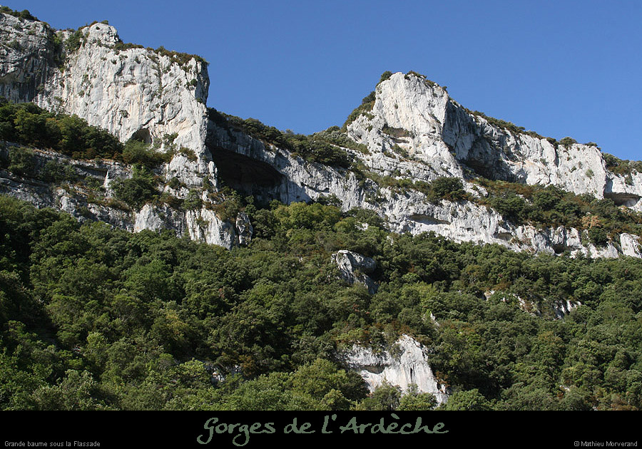 20090804_grdebaumedegournier2