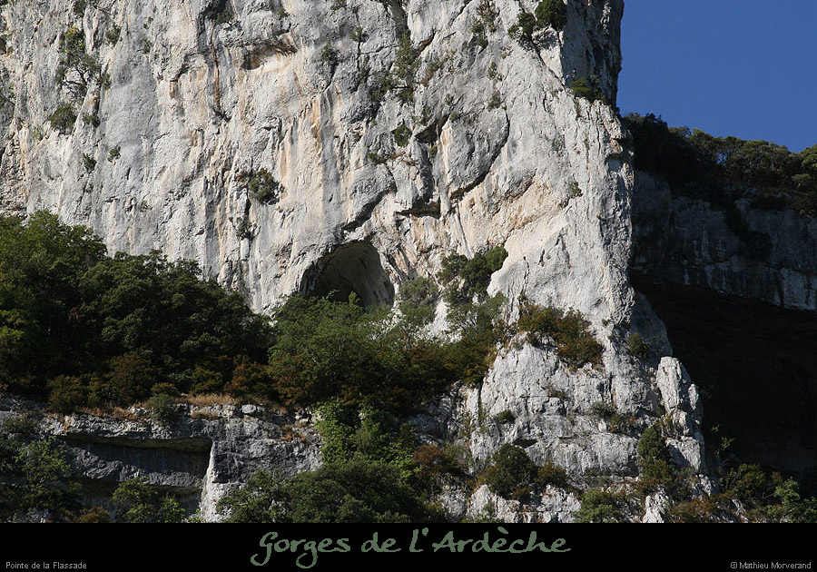 20090804_grdebaumedegournier4