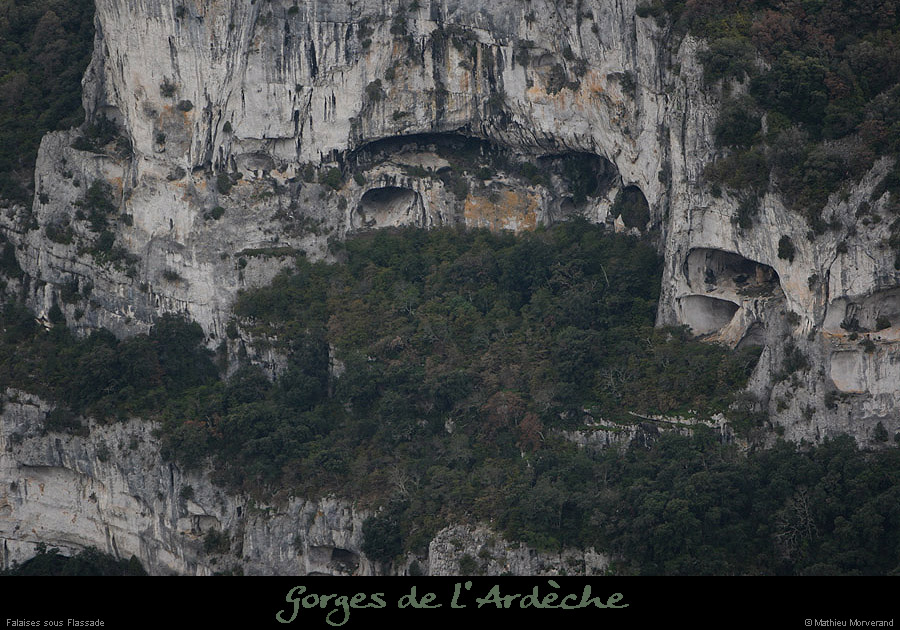 20100327_falaisessudgournierrd4
