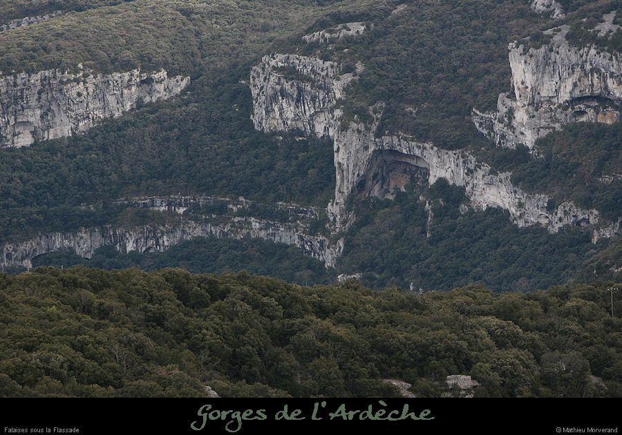 20100327_grdebaumesudgournierdegaud
