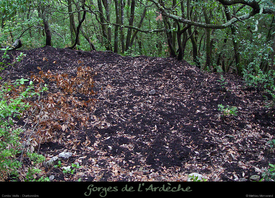 20020825_combevieille_charbonniere