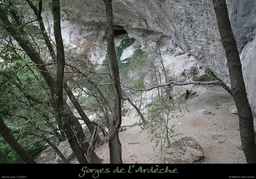 20070430_gournierderdbaume2