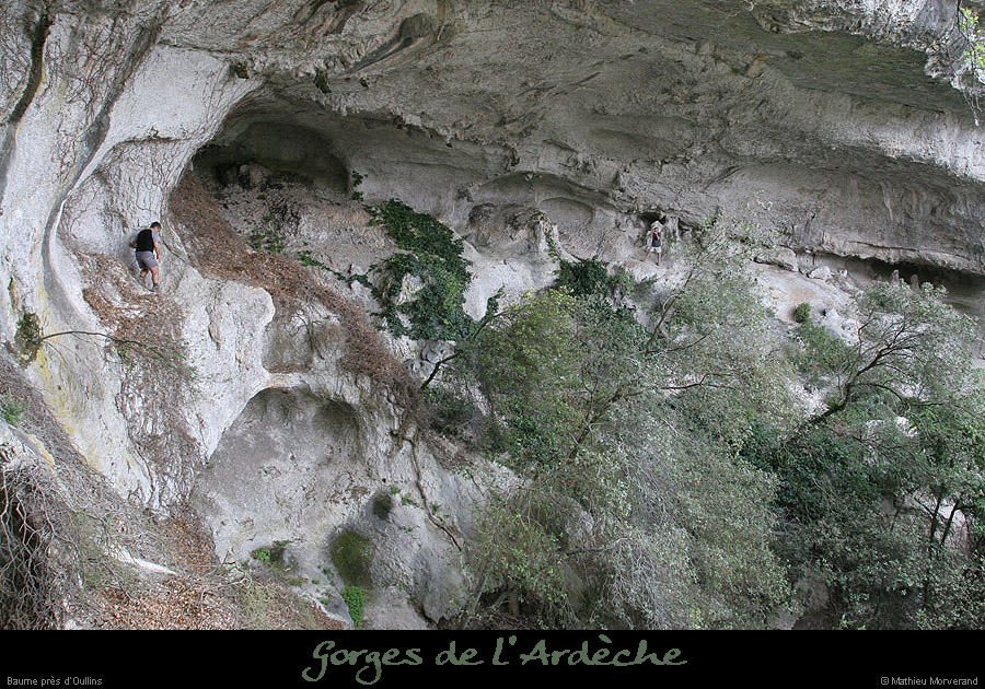 20070430_gournierderdbaume3
