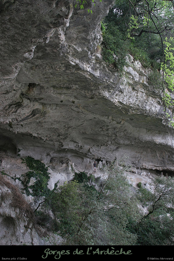 20070430_gournierderdbaume4