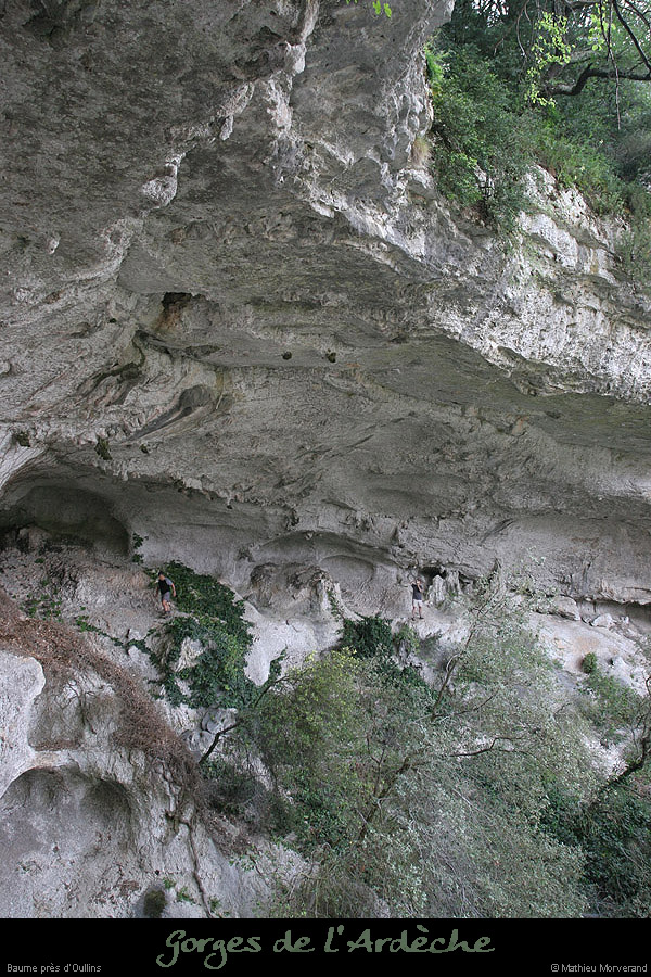 20070430_gournierderdbaume5