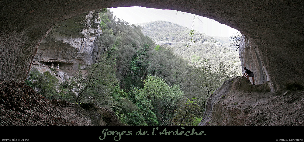 20070430_gournierderdbaume6