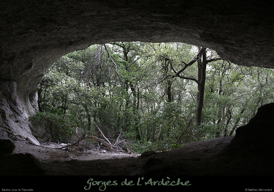 20070806_baume_ssflassade09