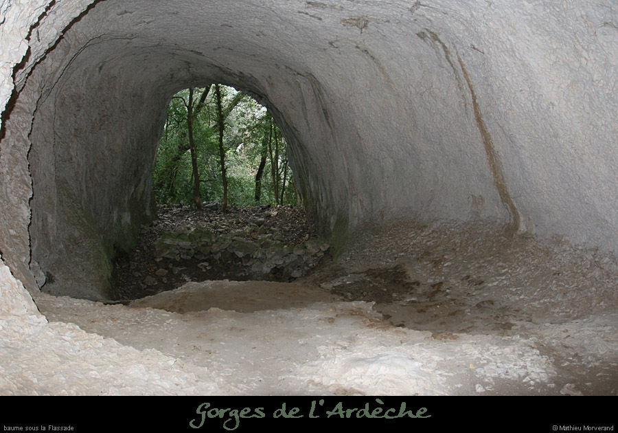 20080224_baumessflassade1