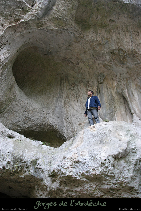 20080224_baumessflassade2