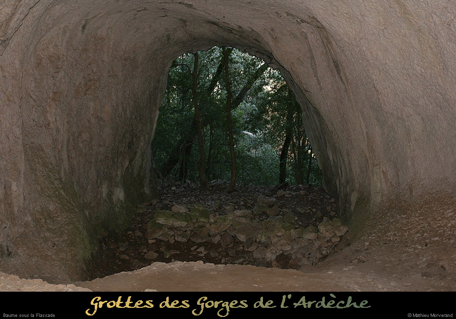 20091217_baumessupgournierrs03