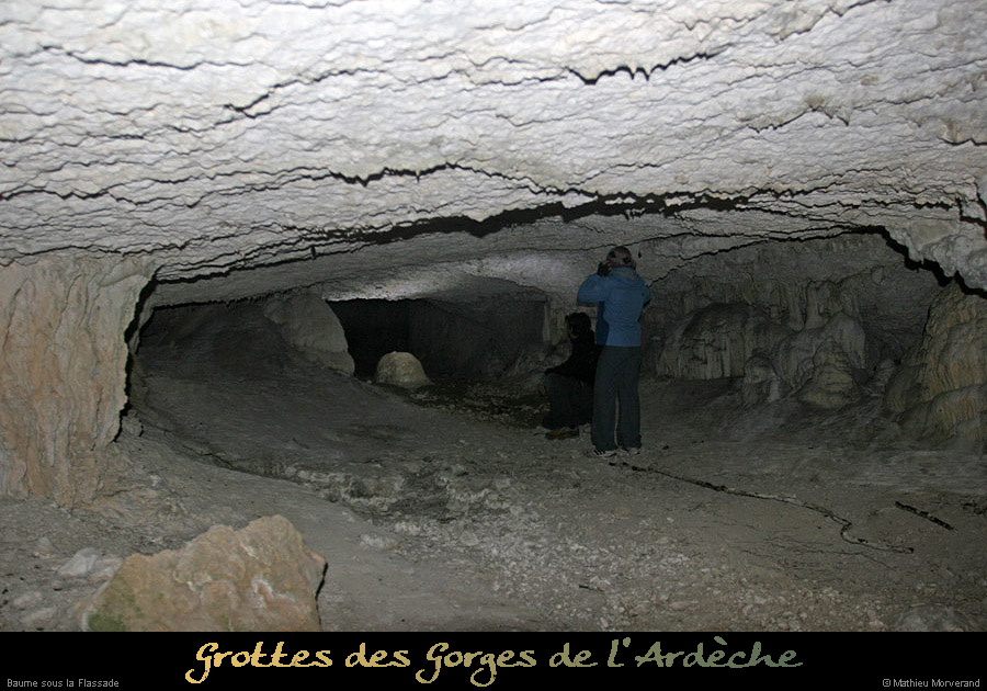 20091217_baumessupgournierrs06