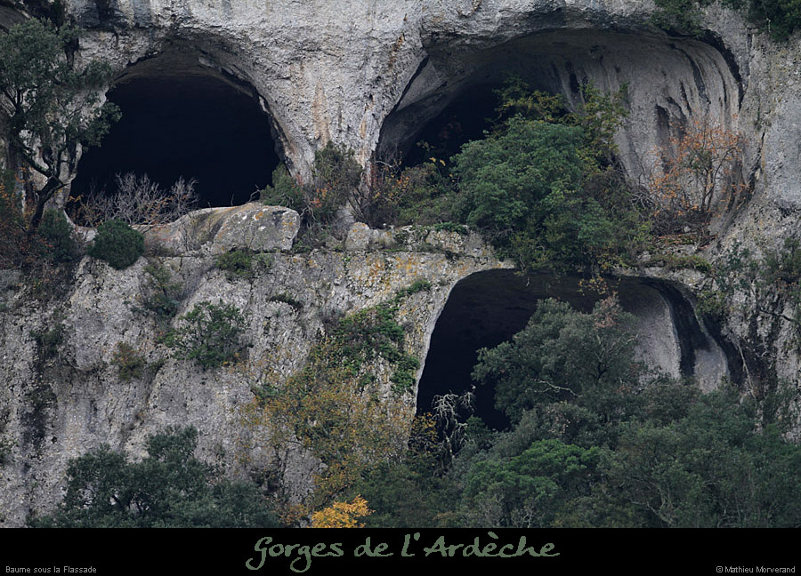 20111112_baumesslaflassade03